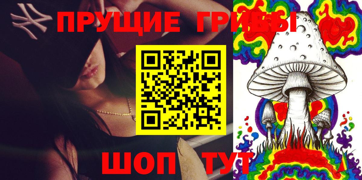 Псилоцибиновые грибы прущие грибы Балтийск