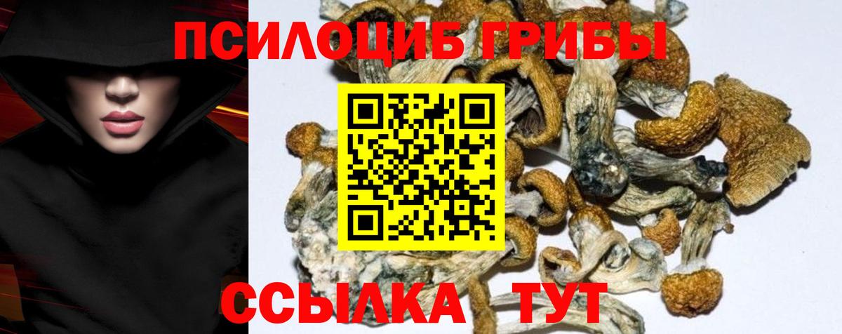 Галлюциногенные грибы GOLDEN TEACHER  Вход с VPN  Балтийск  хочу   Галлюциногенные грибы MAGIC MUSHROOMS 